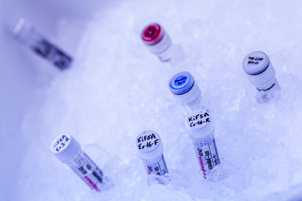 Biochimie, biologie moléculaire et cellulaire, génétique Faculté des