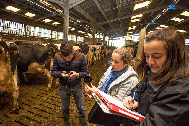 Science De L Agriculture Et De L élevage Codycross