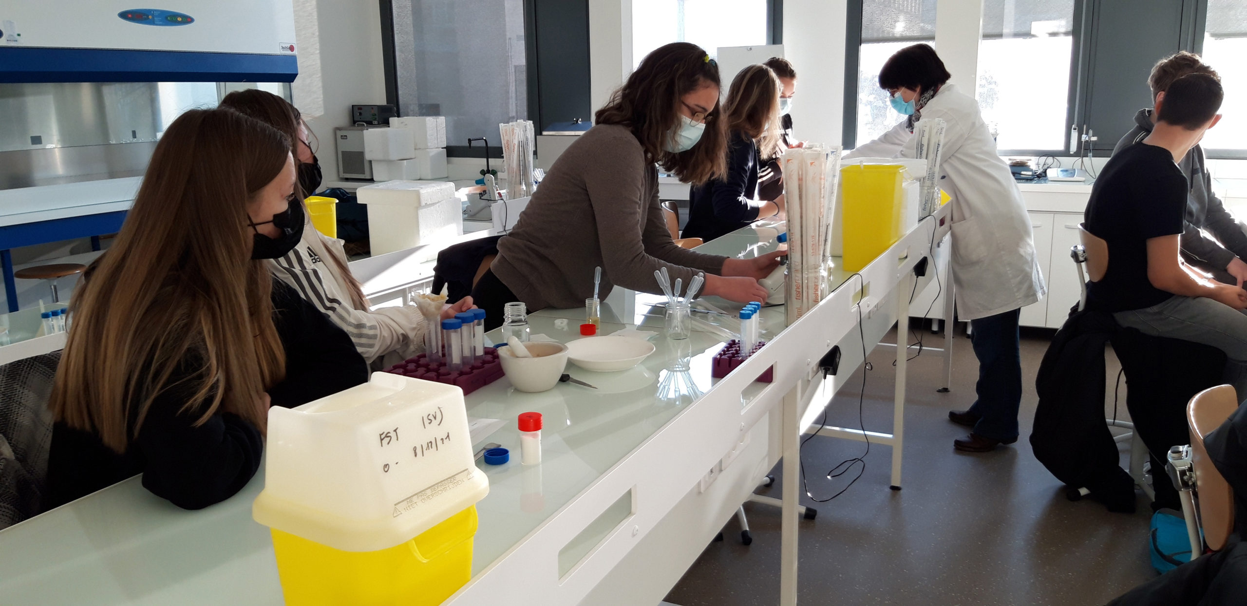 Accueil du Collège Saint Sulpice Les Feuilles Faculté des Sciences